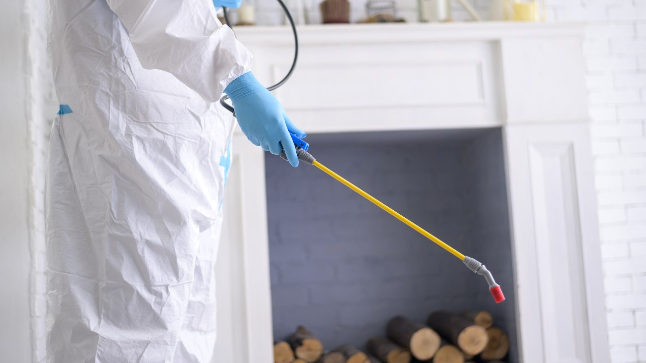 Técnico aplicando dedetização em ambiente residencial